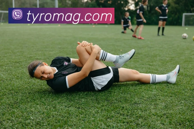 ag百家乐平台生态图